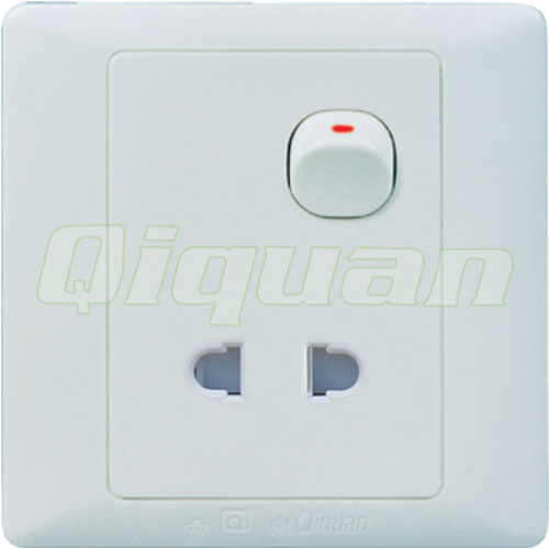 1 Switch With 1 Socket